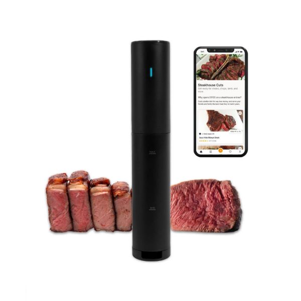 Anova Sous Vide Precision Cooker Mini Lite Hot on Sale